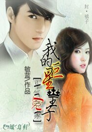 《斗气冤家:我的巨星王子》