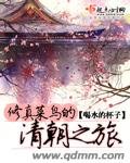《修真菜鸟的清朝之旅》