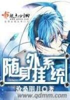 《隨身外掛系統》