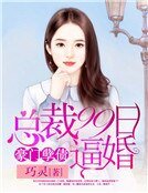 豪门孽债:总裁99日逼婚