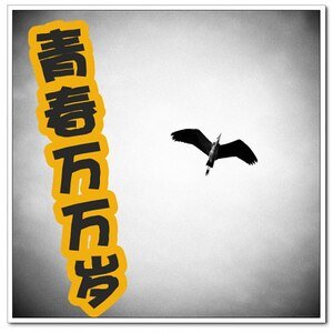 青春萬萬歲