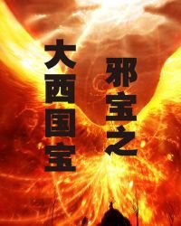 邪宝之大西国宝
