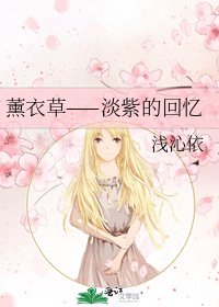 薰衣草——淡紫的回忆