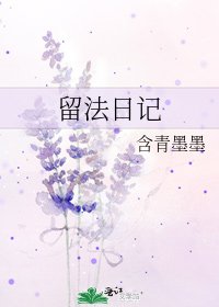 《留法日记》