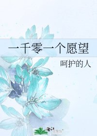《一千零一个愿望》