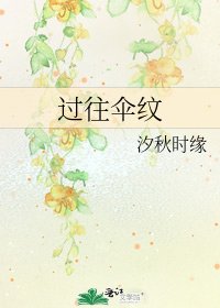 过往伞纹