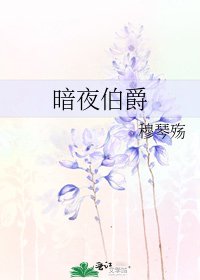 《暗夜伯爵》