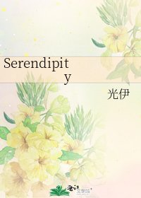 《Serendipity》