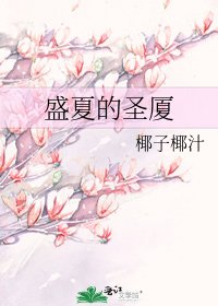 《盛夏的圣厦》