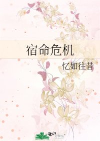 《宿命危机》