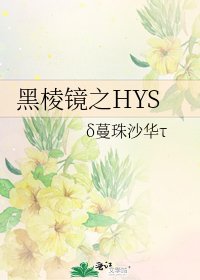 《黑棱镜之HYS》