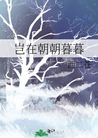 《岂在朝朝暮暮》