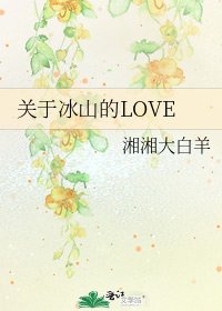 《关于冰山的LOVE》